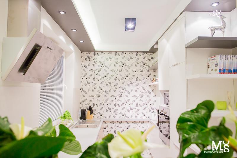 ורוצלב Mojito Apartments - Botanica חדר תמונה
